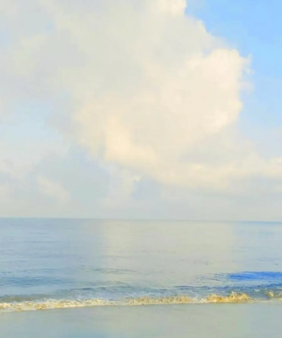 Pensionat The Beach House Marari Mararikulam